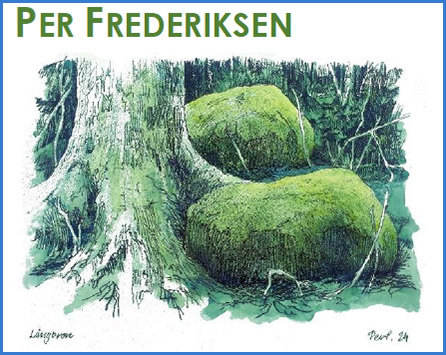 cirklen 2