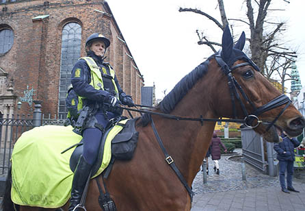 riddendepolitifeb24