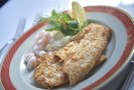 tivolihallen fisk