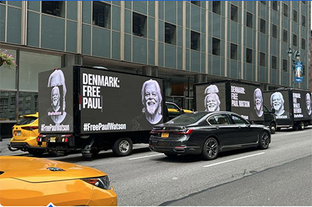 watson ny york