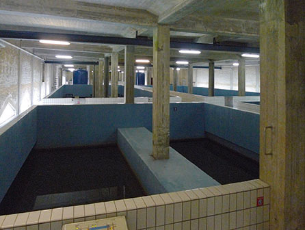 vandv hallen